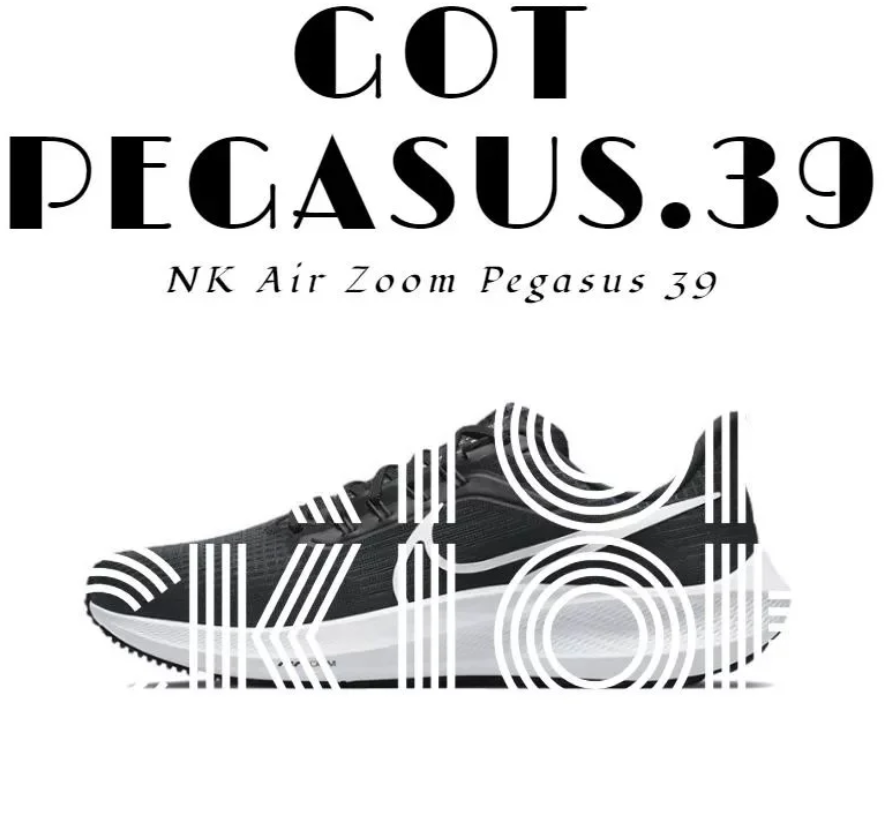 GOT-ZOOM FLY5