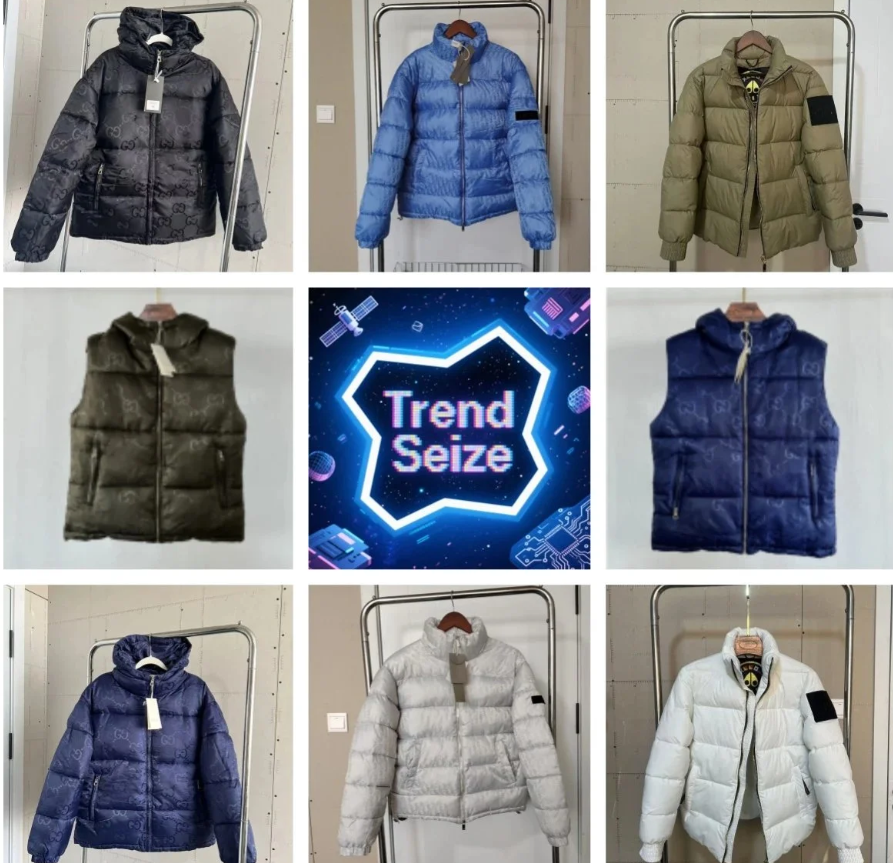 Moose Knuckles/The North Face Down Jacket（35 STYLE TOP）