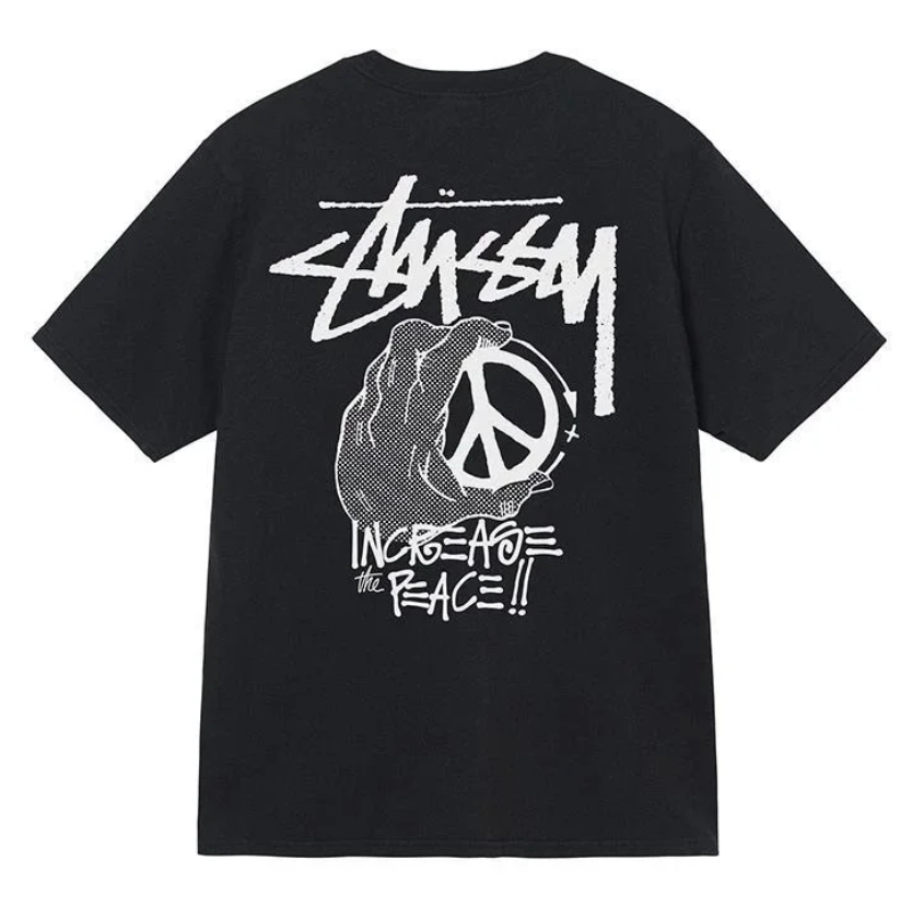 Stussy T-shirt collection X2 only  $24