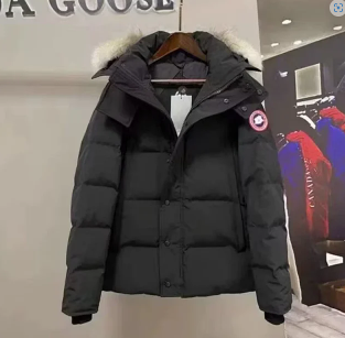  Canada Goose Down Jacket  Vest ( 36 style ）