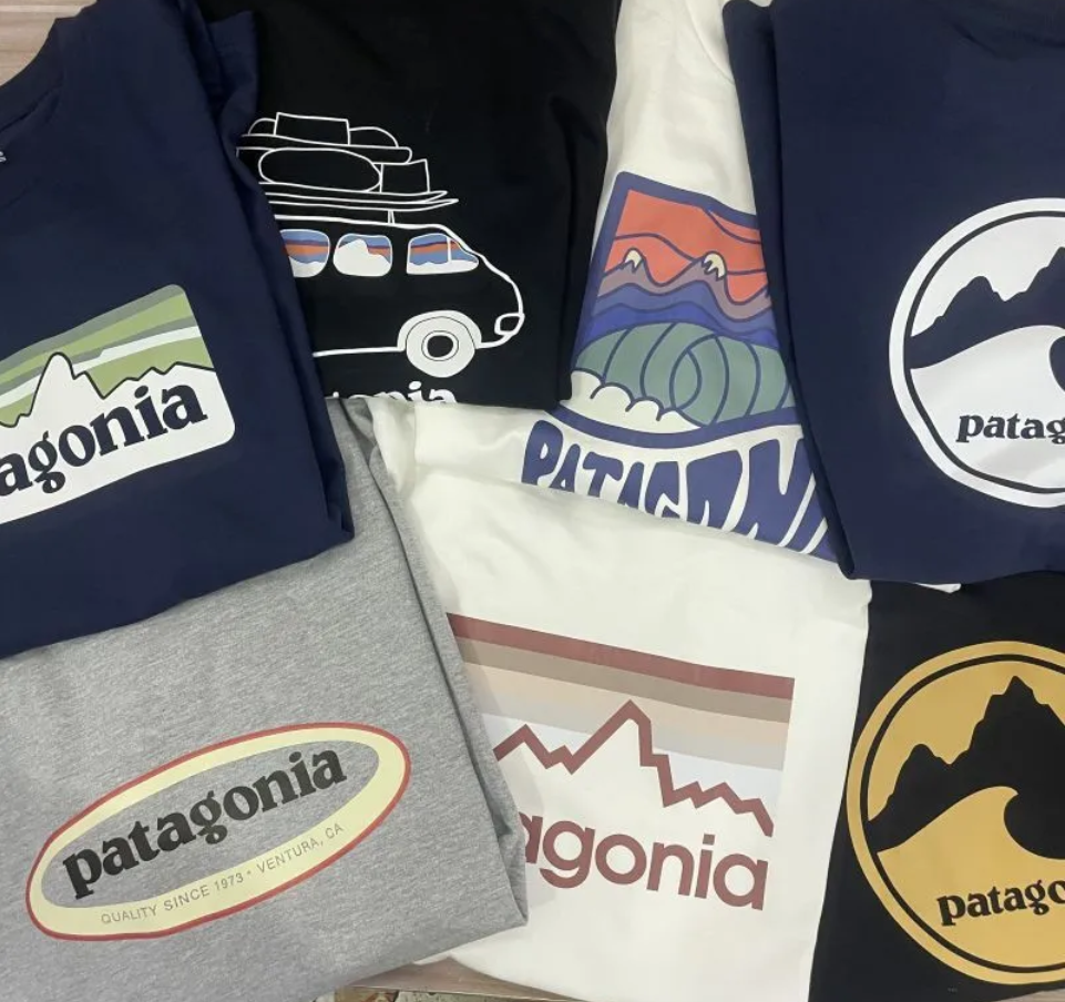 Patagonia tee